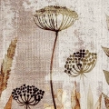 polne-trawy-ziola-brazowa-laka-plotno-fragment_web.webp