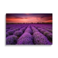 obraz-szklany-lawendowy-lad.webp