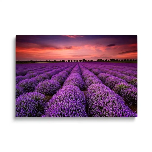 obraz-szklany-lawendowy-lad.webp