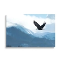 obraz-szklany-orzel-w-locie.webp