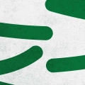 zielone-katy-ostre-fragment.webp