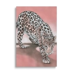 Obraz na szkle - Przyczajony lampart - Zwierzęta, Natura, Różowy, Drapieżnik, Pionowy
