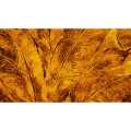 Fototapeta-Motyw-Piękne-liście-w-kolorze-miodu-brązu-i-złota.jpg