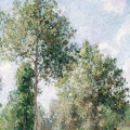 camille-pissarro-poplars-eragny-reprodukcja-plakat-fragment.webp