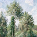 zestaw-2-plakatow-camille-pissarro-poplars-eragny-landscape-at-saint-charles-reprodukcja-fragment.webp