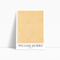 botaniczny-william-morris-larkspur-plakat-bok.webp