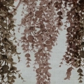 fototapeta-na-wymiar-wiszace-rosliny-braz-fragment2_web.webp