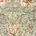 plakat-william-morris-honeysuckle-bezowy-plakat-fragment.webp