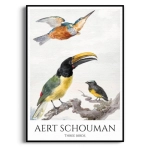 Plakat- Aert Schouman - Three Birds – Ptaki Egzotyczne do Salonu Biura
