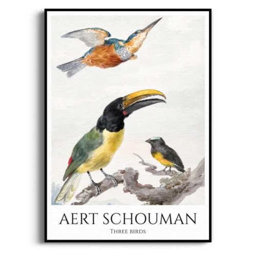 aert-schouman-three-birds-ptaki-plakat-czarna.webp