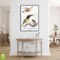 aert-schouman-three-birds-ptaki-plakat-czarna-wnetrze.webp
