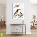 aert-schouman-three-birds-ptaki-plakat-biala-wnetrze.webp
