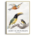 aert-schouman-three-birds-ptaki-plakat-zlota.webp