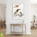 aert-schouman-three-birds-ptaki-plakat-zlota-wnetrze.webp