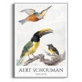 aert-schouman-three-birds-ptaki-plakat-srebrna.webp