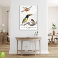 aert-schouman-three-birds-ptaki-plakat-srebrna-wnetrze.webp