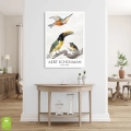 aert-schouman-three-birds-ptaki-plakat-brak-wnetrze.webp