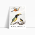 aert-schouman-three-birds-ptaki-plakat-bok.webp