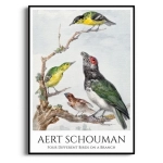 Plakat - Aert Schouman – Four Different Birds on a Branch - Ptaki na Gałęzi do Salonu lub Biura