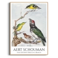 aert-schouman-four-birds-ptaki-na-galezi-plakat-drewno.webp