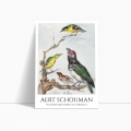 aert-schouman-four-birds-ptaki-na-galezi-plakat-bok.webp