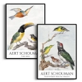 zestaw-plakatow-akwarela-ptaki-aert-schouman-boho-vintage-czarna.webp