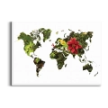 mapa-swiata-kwiaty-rosliny-zielony-czerwony-plakat-biala.webp