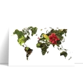 mapa-swiata-kwiaty-rosliny-zielony-czerwony-plakat-bok.webp