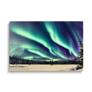 Obraz na szkle Zorza polarna w zimowym krajobrazie