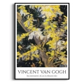 vincent-van-gogh-blossoming-acacia-branches-reprodukcja-plakat-czarna.webp