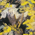 vincent-van-gogh-blossoming-acacia-branches-reprodukcja-plakat-fragment.webp