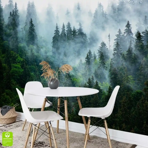 fototapeta-na-wymiar-mgla-nad-zielonym-lasem-w-jadalni.webp