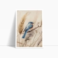 zestaw-2-plakatow-ptak-i-trawy-bok2.webp