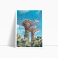 nowoczesny-singapur-gardens-by-the-bay-plakat-bok.webp
