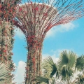 nowoczesny-singapur-gardens-by-the-bay-plakat-fragment.webp