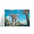 nowoczesny-singapur-gardens-by-the-bay-plakat-bok.webp