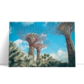 nowoczesny-singapur-gardens-by-the-bay-bm-plakat-bok.webp
