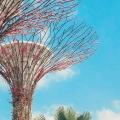 nowoczesny-singapur-gardens-by-the-bay-plakat-fragment.webp