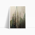 zestaw-2-plakatow-egzotyczne-liscie-tropikalne-boho-bok1.webp