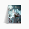zestaw-2-plakatow-biale-kwiaty-z-rosa-niebiesko-bialy-bok1.webp