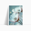 zestaw-2-plakatow-biale-kwiaty-z-rosa-niebiesko-bialy-bok2.webp