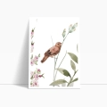 zestaw-2-plakatow-polne-kwiaty-i-ptaki II-bok1.webp