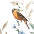 zestaw-2-plakatow-polne-kwiaty-i-ptaki II-fragment.webp