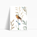 zestaw-2-plakatow-polne-kwiaty-i-ptaki-II-bok2.webp