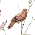 zestaw-2-plakatow-polne-kwiaty-i-ptaki-IV-fragment.webp