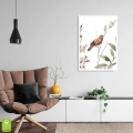 polne-kwiaty-i-ptak-vi-botaniczny-plakat-biala-wnetrze.webp