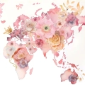 fototapeta-scienna-rozowa-mapa-swiata-fragment.webp