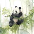fototapeta-scienna-urocze-pandy-fragment.webp