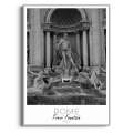 rzym-fontanna-di-trevi-czarno-bialy-plakat-srebrna.webp