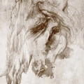 fototapeta-scienna-skrzydlaty-kon-fragment.webp